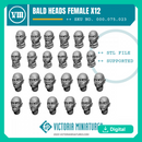 Bald Heads Female x12
