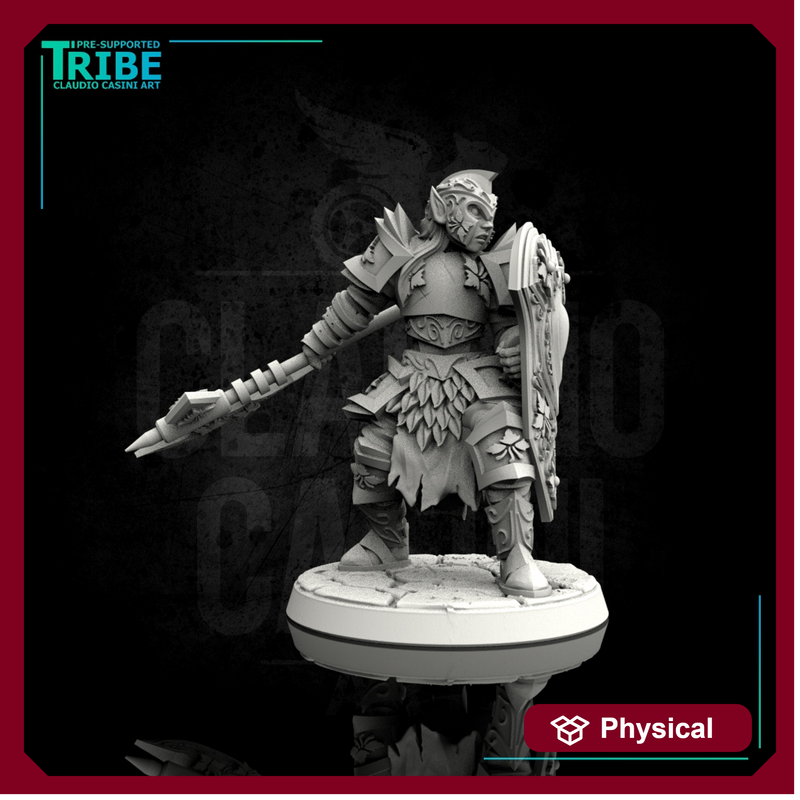 (0070) Male elf human tiefling paladin with big axe / halberd