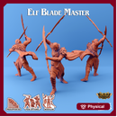 Elf Blade Master