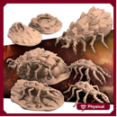 Sand Maggots