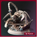 Giant Spider Assassin - Meloth the Watcher