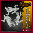 Dead Necrophytes - Cultists of Morkul - Set of 3 (32mm scale)