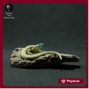 European Green Lizard