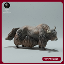 Himalayan Wild Yak