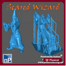 Fantasy Adventurer - Scared Wizard