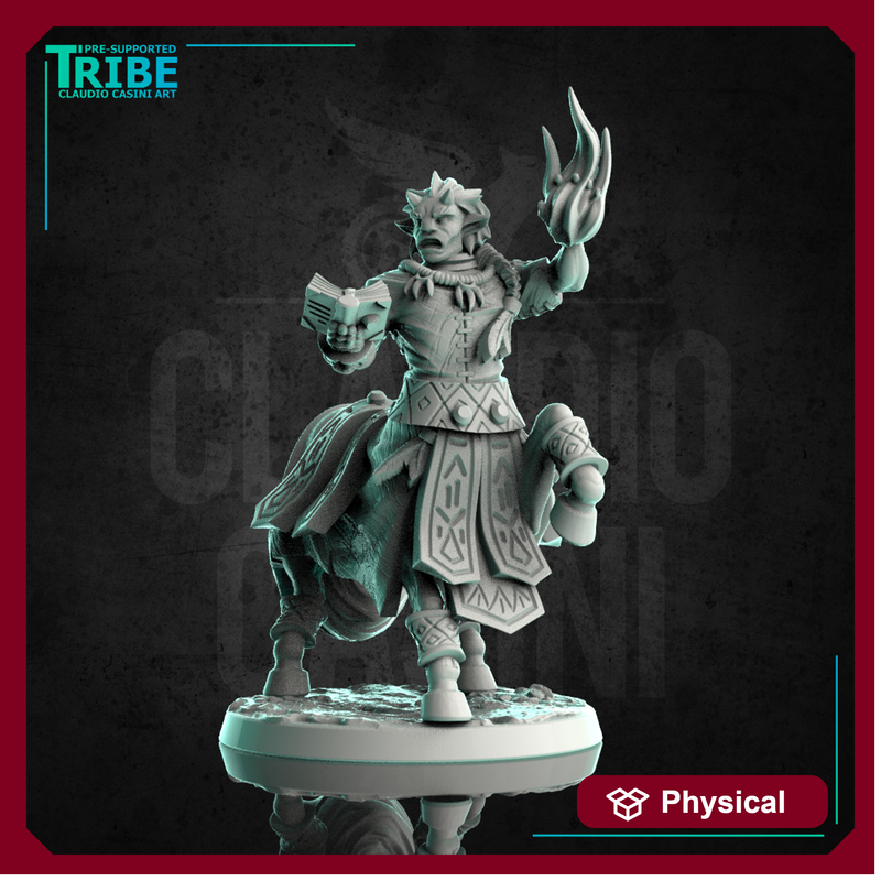 (0239) Male centaur summoner wizard with magic book and spell