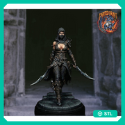 Hooded Masked Assassin STL | Zylah Rogue | Digital Download - Only-Games