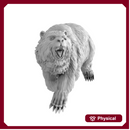 Bear (32mm scale)
