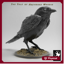 Magpie Stand Wild