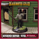 Reverend Shepard - Veteran Preacher