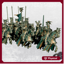 Black Grail Order - Complete Regiment