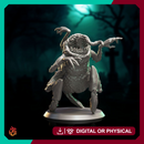 Xorn
