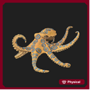 Greater Blue-Ringed Octopus Pre-Colored 1/2
