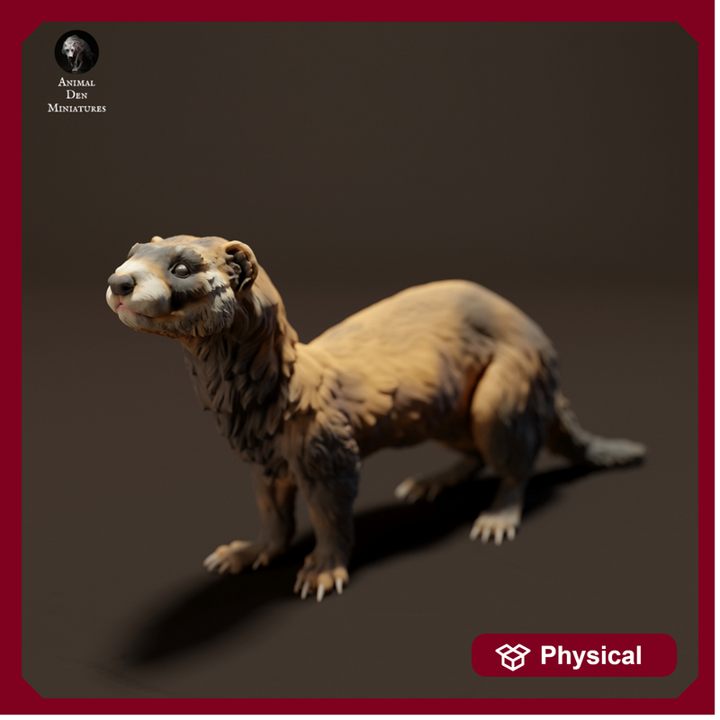 European Polecat 1/32