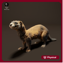 European Polecat 1/32