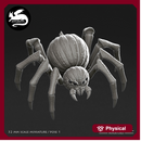 Pumpkin Spider 1