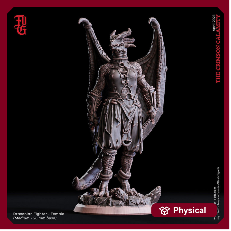 Female Dragonborn Fighter Brawler, Monk | 28mm, 32mm, 75mm Scale Resin Miniature | Dungeons and Dragons D&D 5e  | Pathfinder | Flesh of Gods - Only-Games