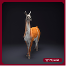 Guanaco