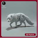 Arctic Fox