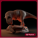 Tyrannosaurus eating turtle 1-35 scale dinosaur
