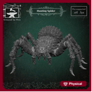 Hunting Spider