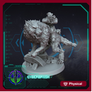 Stormwolf rider 2