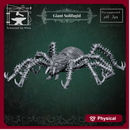 Giant Solifugid