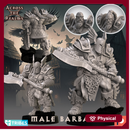 Male Barbarian