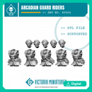 Arcadian Rough Riders Torsos and Heads