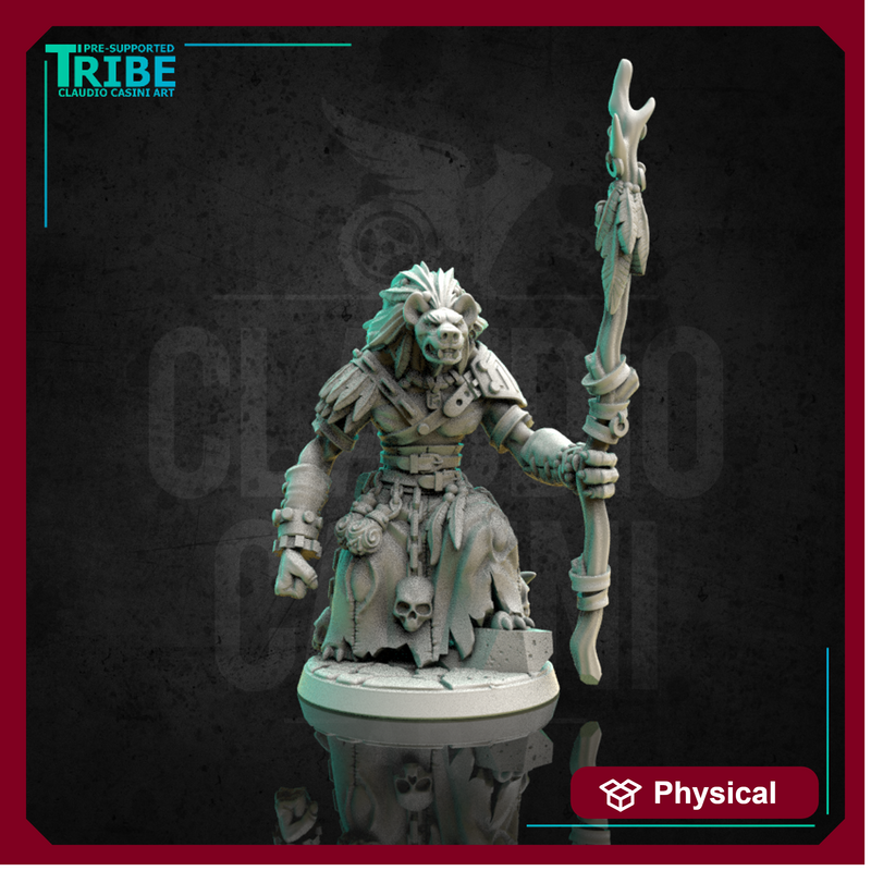 (0173) Male shaman wizard sorceror gnoll