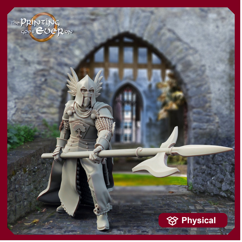 Human Paladin Knight Fighter with Polearm | 28mm, 32mm, 75mm Scales | Pathfinder Figure | DnD 5e | The Printing Goes Ever On | | - Only-Games