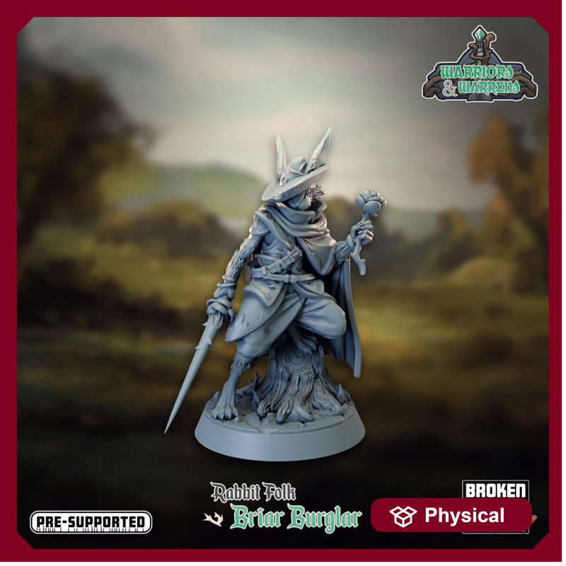 Warriors and Warrens- Briar Burglar