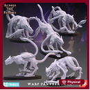 Warp Panther Pack