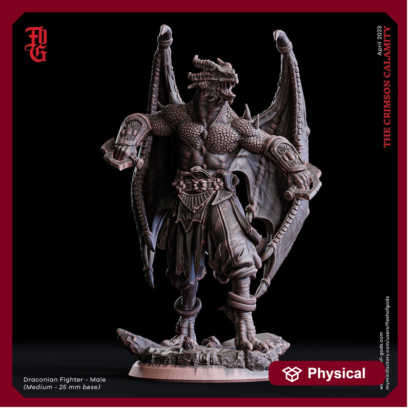 Dragonborn Fighter Brawler, Monk | 28mm, 32mm, 75mm Scale Resin Miniature | Dungeons and Dragons D&D 5e  | Pathfinder | Flesh of Gods - Only-Games