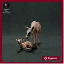 Red Deer Hind and Fawn 1:32