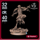 Raven Shade (Sculpt 2) - 40mm / 32mm Scale