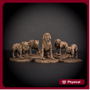 Man Hounds Pack of 5