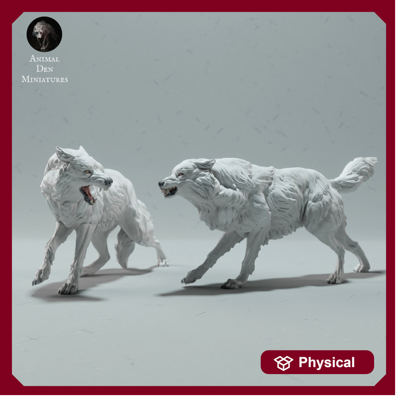 Arctic Wolves Fighting