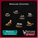 Woodland Creatures Kit
