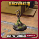 Julie Frai - Guardian Veteran