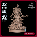 Court Wraith Sorcerer