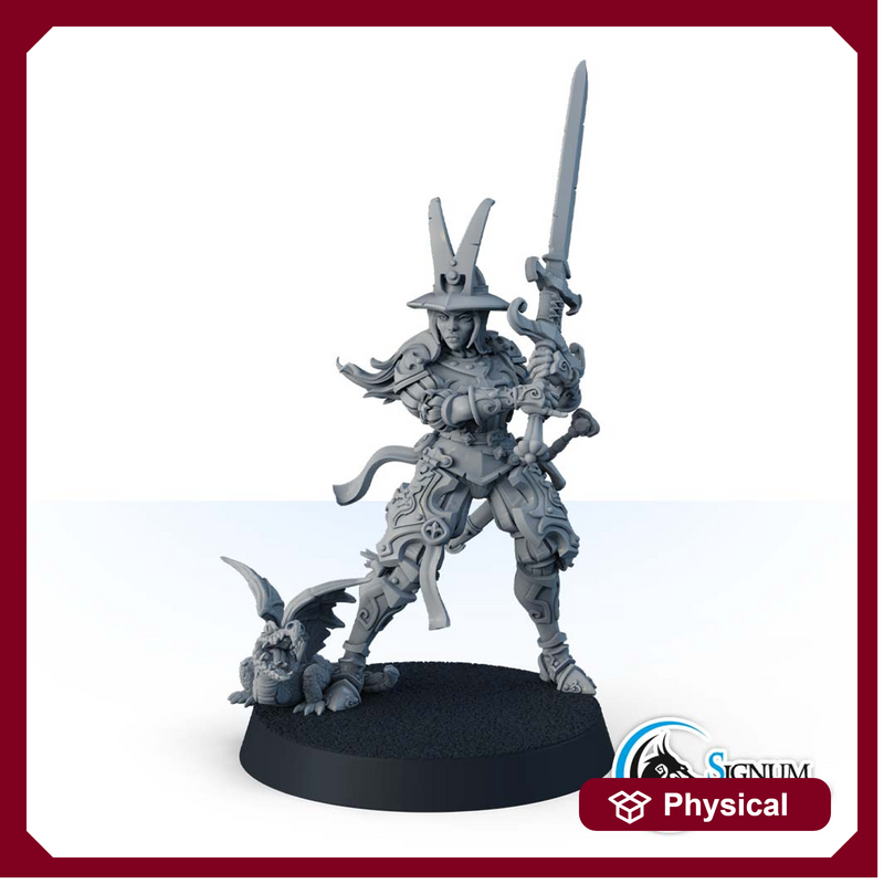 Guard with long sword, the Red Falcon infantry