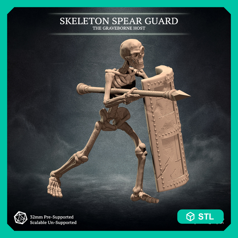 Skeleton Spear Guard, The Graveborne Host