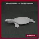 Apertotemporalis 1-35 scale prehistoric turtle