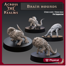 Brain Hounds