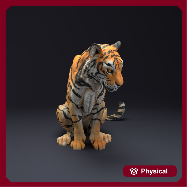 Bengal Tiger Sit 1/43