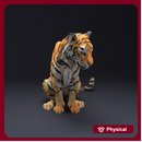 Bengal Tiger Sit 1/43