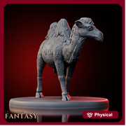 Camel - Only-Games