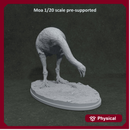 Moa eating 1-20 scale prehistoric bird