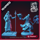 Kasimeer the Wizard - Idle and Action Pose